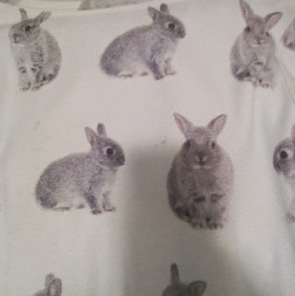 Wildfox snow buns jumper - Picture 4 of 5